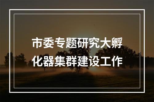 市委专题研究大孵化器集群建设工作