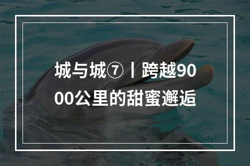 城与城⑦丨跨越9000公里的甜蜜邂逅