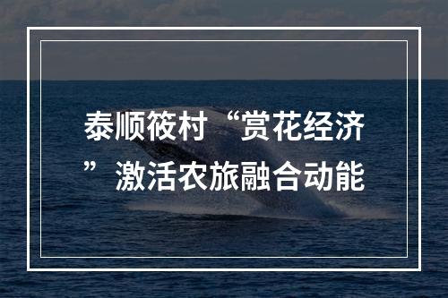 泰顺筱村“赏花经济”激活农旅融合动能