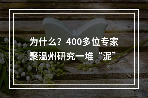 为什么？400多位专家聚温州研究一堆“泥”