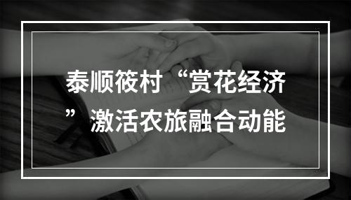 泰顺筱村“赏花经济”激活农旅融合动能