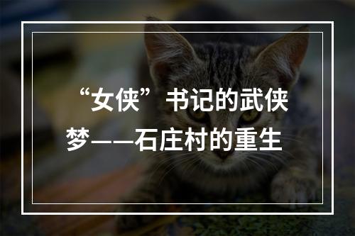 “女侠”书记的武侠梦——石庄村的重生