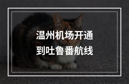 温州机场开通到吐鲁番航线