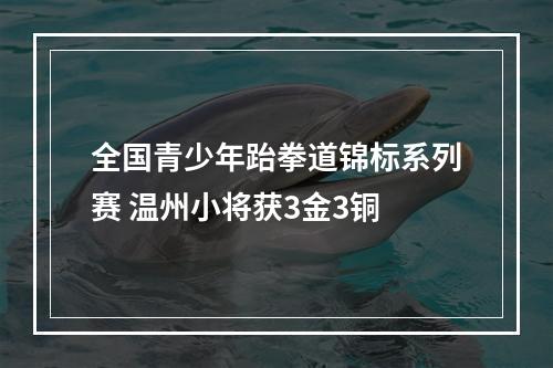 全国青少年跆拳道锦标系列赛 温州小将获3金3铜