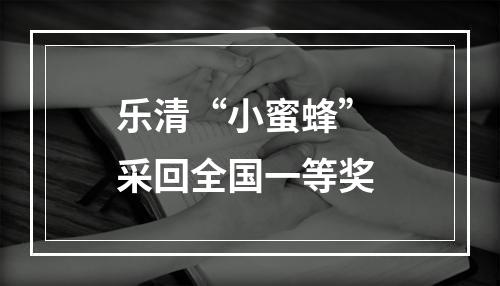 乐清“小蜜蜂” 采回全国一等奖