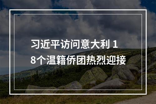 习近平访问意大利 18个温籍侨团热烈迎接