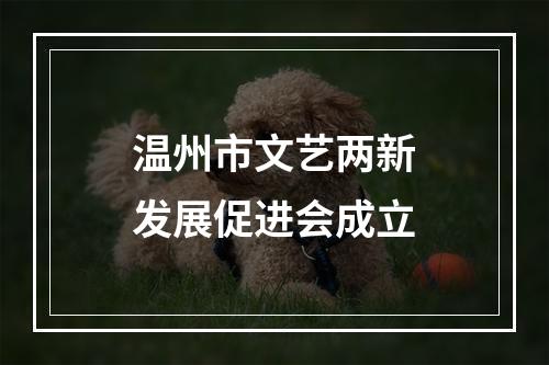 温州市文艺两新发展促进会成立