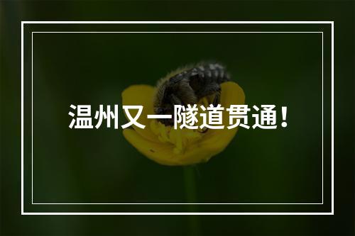 温州又一隧道贯通！