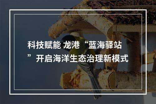 科技赋能 龙港“蓝海驿站”开启海洋生态治理新模式