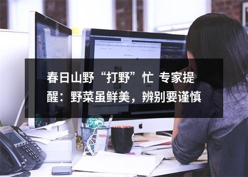 春日山野“打野”忙  专家提醒：野菜虽鲜美，辨别要谨慎