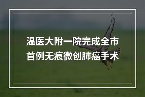 温医大附一院完成全市首例无痕微创肺癌手术