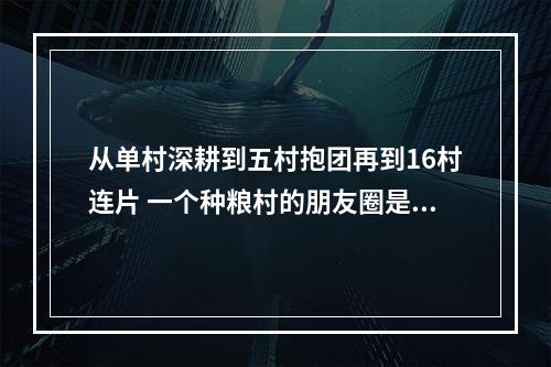从单村深耕到五村抱团再到16村连片 一个种粮村的朋友圈是如何扩大的