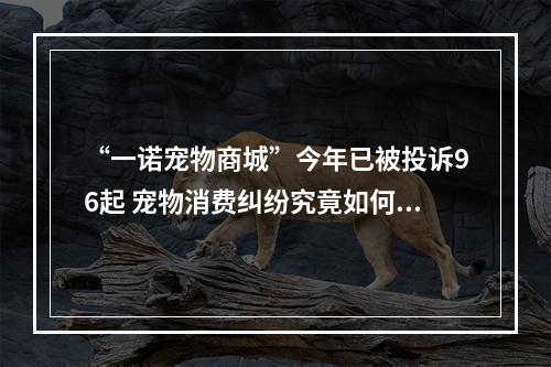 “一诺宠物商城”今年已被投诉96起 宠物消费纠纷究竟如何维权？