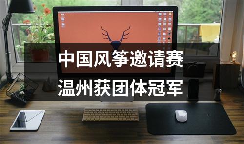 中国风筝邀请赛 温州获团体冠军