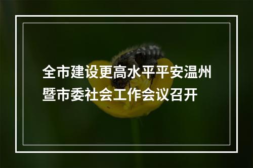 全市建设更高水平平安温州暨市委社会工作会议召开