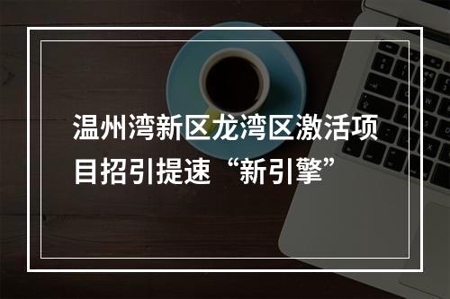 温州湾新区龙湾区激活项目招引提速“新引擎”