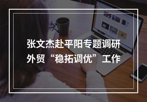 张文杰赴平阳专题调研外贸“稳拓调优”工作