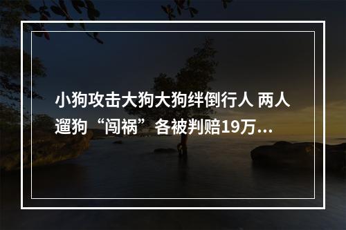 小狗攻击大狗大狗绊倒行人 两人遛狗“闯祸”各被判赔19万余元