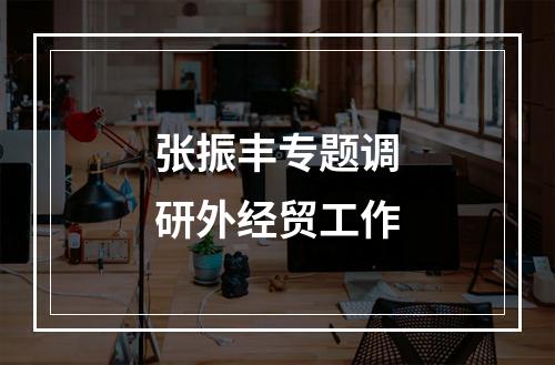 张振丰专题调研外经贸工作