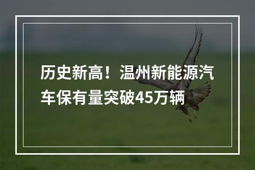 历史新高！温州新能源汽车保有量突破45万辆