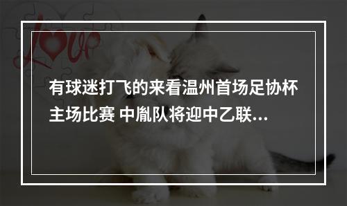 有球迷打飞的来看温州首场足协杯主场比赛 中胤队将迎中乙联赛南区榜首之战