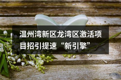 温州湾新区龙湾区激活项目招引提速“新引擎”