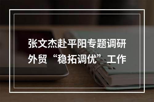 张文杰赴平阳专题调研外贸“稳拓调优”工作