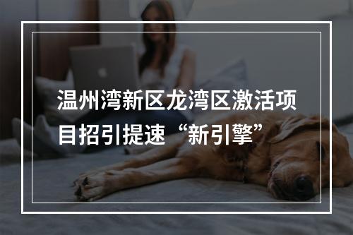 温州湾新区龙湾区激活项目招引提速“新引擎”