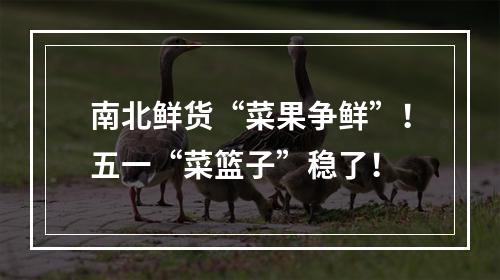 南北鲜货“菜果争鲜”！五一“菜篮子”稳了！