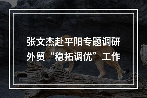 张文杰赴平阳专题调研外贸“稳拓调优”工作
