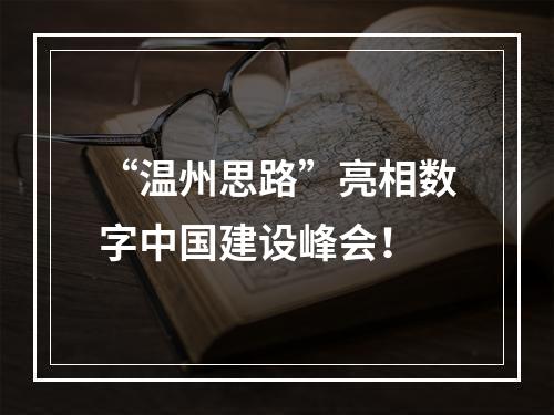 “温州思路”亮相数字中国建设峰会！