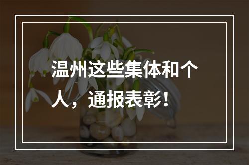 温州这些集体和个人，通报表彰！