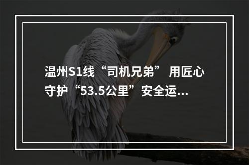 温州S1线“司机兄弟” 用匠心守护“53.5公里”安全运行