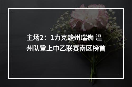 主场2：1力克赣州瑞狮 温州队登上中乙联赛南区榜首
