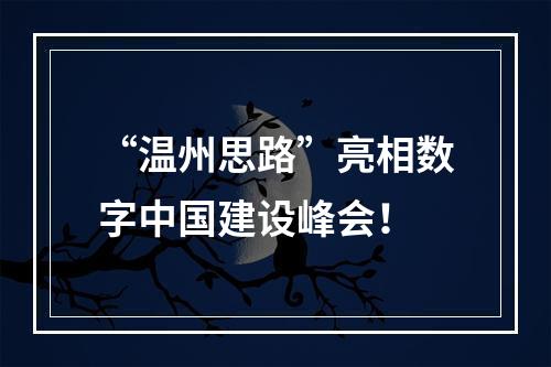 “温州思路”亮相数字中国建设峰会！