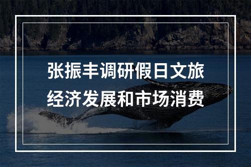 张振丰调研假日文旅经济发展和市场消费