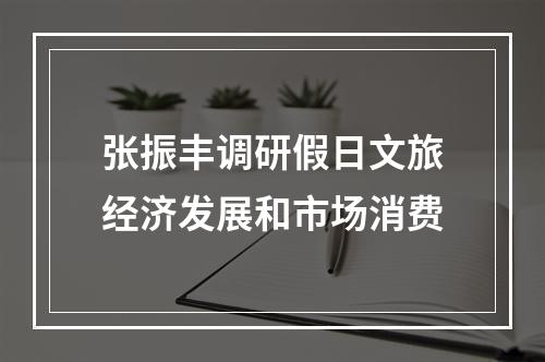 张振丰调研假日文旅经济发展和市场消费