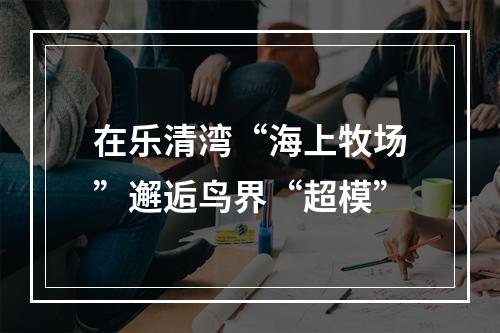 在乐清湾“海上牧场”邂逅鸟界“超模”