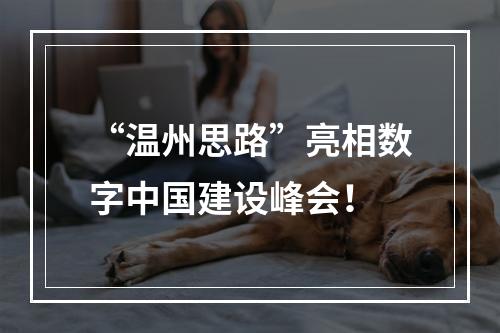“温州思路”亮相数字中国建设峰会！