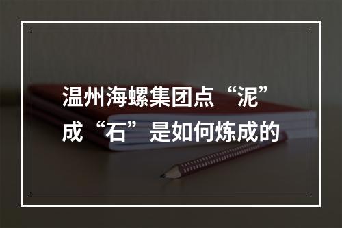温州海螺集团点“泥”成“石”是如何炼成的