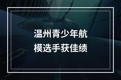 温州青少年航模选手获佳绩