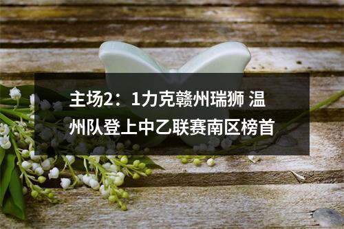 主场2：1力克赣州瑞狮 温州队登上中乙联赛南区榜首