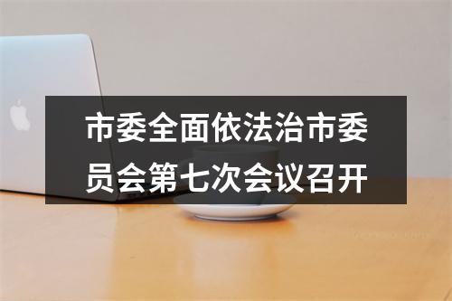 市委全面依法治市委员会第七次会议召开