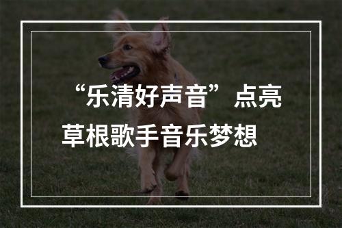 “乐清好声音”点亮草根歌手音乐梦想