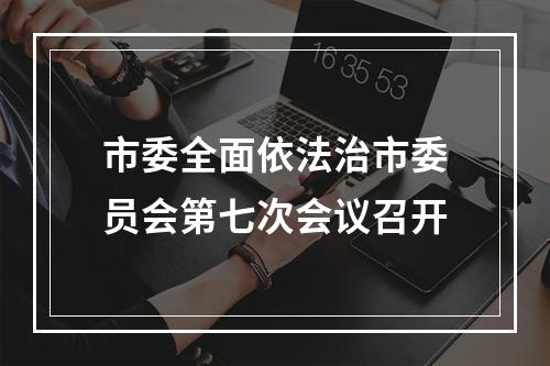 市委全面依法治市委员会第七次会议召开