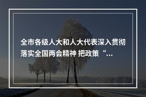 全市各级人大和人大代表深入贯彻落实全国两会精神 把政策“春风”送入人民群众心田
