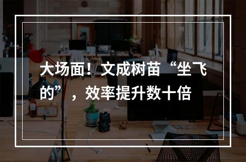 大场面！文成树苗“坐飞的”，效率提升数十倍