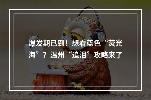 爆发期已到！想看蓝色“荧光海”？温州“追泪”攻略来了