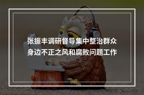 张振丰调研督导集中整治群众身边不正之风和腐败问题工作
