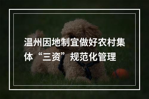 温州因地制宜做好农村集体“三资”规范化管理